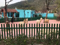 -无锡动物园·太湖欢乐园