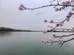 -颐和园