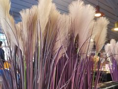 -枫花园汽车电影院(朝阳公园店)