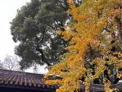 -惠山古镇·寄畅园