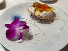 -新一番三文鱼寿司(红城湖店)