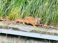 -丝绸小镇荻港古村