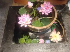 -呷哺呷哺 黄金牧场 (大港油田幸福广场店)