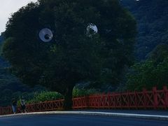 -广州市石门国家森林公园