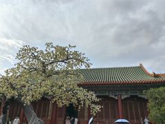 -珠海圆明新园