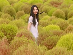 -映月湖中央公园
