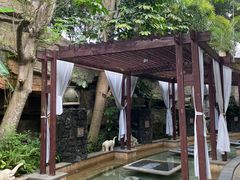 -海口观澜湖火山温泉谷