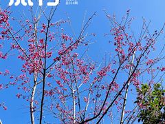 -云水谣景区