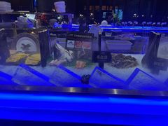 -九月海·海鲜自助(世纪东方店)
