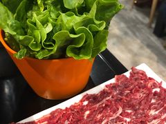 -古乐牛香·鲜牛肉牛杂火锅(五一中路店)