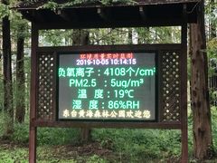 -黄海国家森林公园