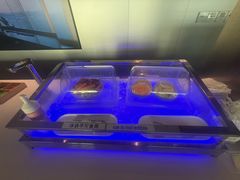 -上海浦东国际机场-T2航站楼