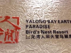 android_upload_pic-三亚亚龙湾人间天堂鸟巢度假村