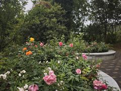 -六合国家地质公园桂子山景区