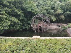 -石老人观光园