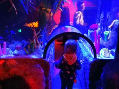 -沈阳海洋探索中心