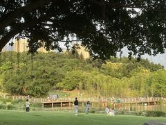 -牛岗山公园