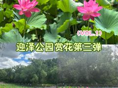 -迎泽公园