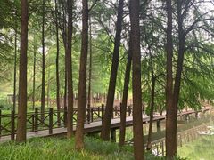 -尚贤河湿地