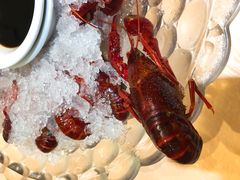 -怪怪龙虾·澳洲蓝龙王·深夜食堂(惊驾路店)