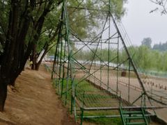 -东方巨龟苑景区