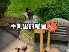 -后襄河公园