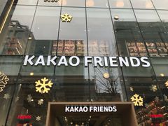 -KAKAO FRIENDS(弘大店)