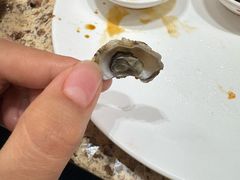 -禾斗海鲜自助(市南银座店)