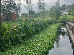-那考河湿地公园