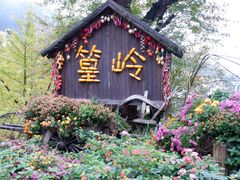 -婺源风景区