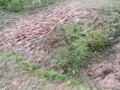 -重庆际华园室内极限运动中心