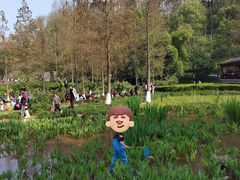 -重庆彩云湖湿地公园