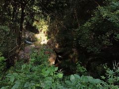 -雁南飞茶田景区