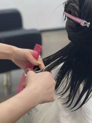-蚂蚁造型俱乐部