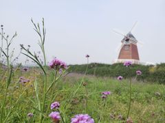 -君乐宝优致牧场