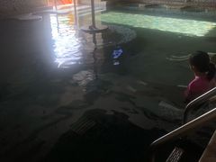 -丰顺宝丰酒店温泉