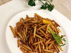 美极云南竹虫-楚灶王(徐东店)