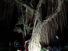 -广州市干部健康管理中心
