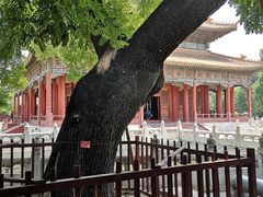 -北京国子监胡同