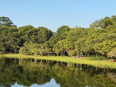 -东莞植物园