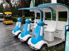 -大槐树寻根祭祖园