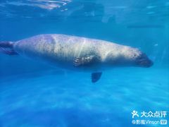 -正佳极地海洋世界