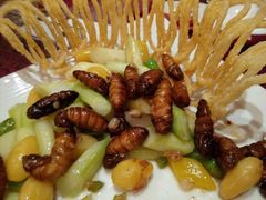 鲍国演义(禅城店)-鲍国演义(禅城店)