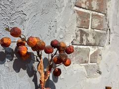 -地二手作鱼汤馄饨(上街里店)