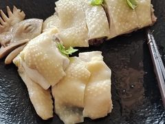 -南海渔村·空中一号