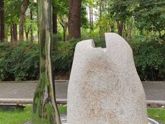 -陈家山荷花公园