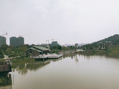 -王借岗森林公园