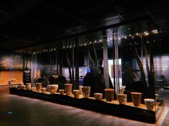 -盘龙城国家考古遗址公园