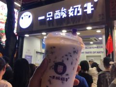 -一只酸奶牛(八一路店)