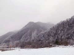 -秦岭风景区